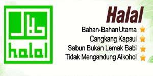 obat herbal terdaftar MUI