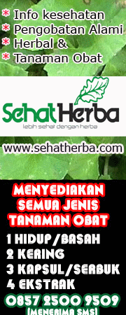 toko online tanaman obat dan obat herbal