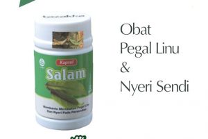 Herbal Daun Salam Mengobati Nyeri Sendi Pegal Linu